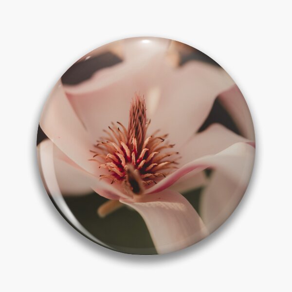 Item preview, Apple blossoms designed and sold by photography5431.