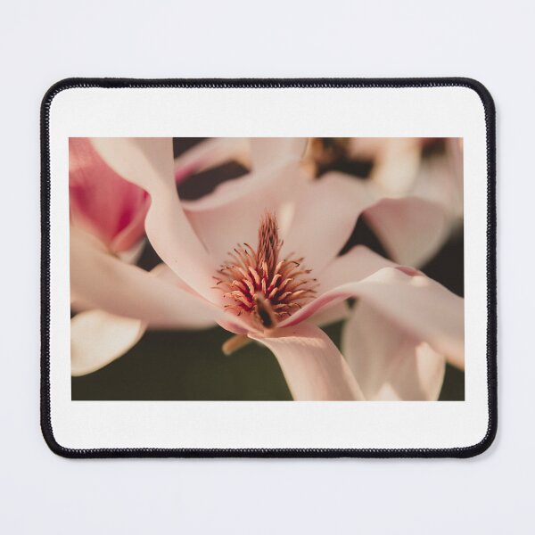 Item preview, Apple blossoms designed and sold by photography5431.