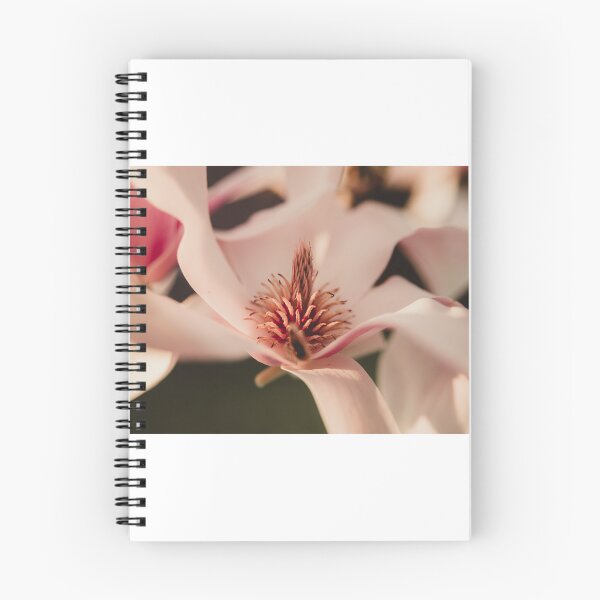 Item preview, Apple blossoms designed and sold by photography5431.