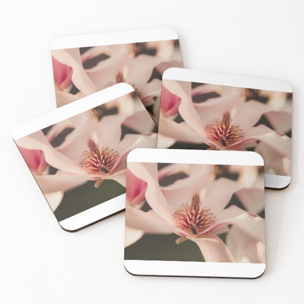 Item preview, Apple blossoms designed and sold by photography5431.