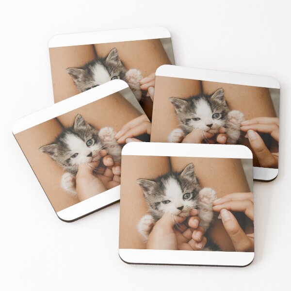 Item preview, High-five kitty designed and sold by photography5431.