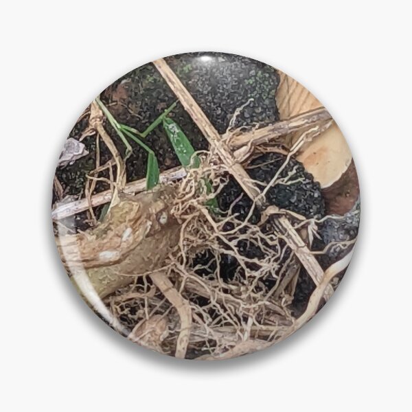 Item preview, Grassroots start wither designed and sold by ricardlgu.