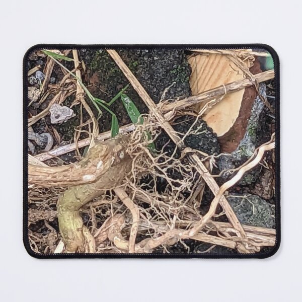 Item preview, Grassroots start wither designed and sold by ricardlgu.