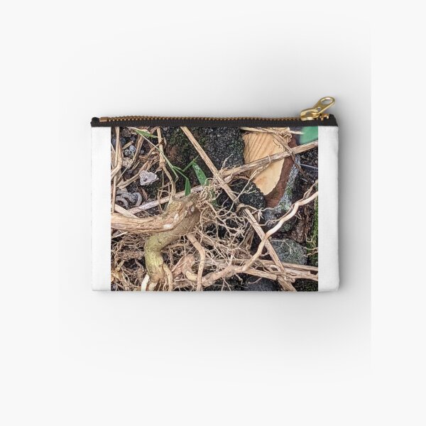 Item preview, Grassroots start wither designed and sold by ricardlgu.