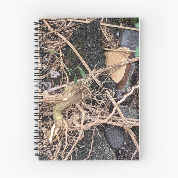 Item preview, Grassroots start wither designed and sold by ricardlgu.