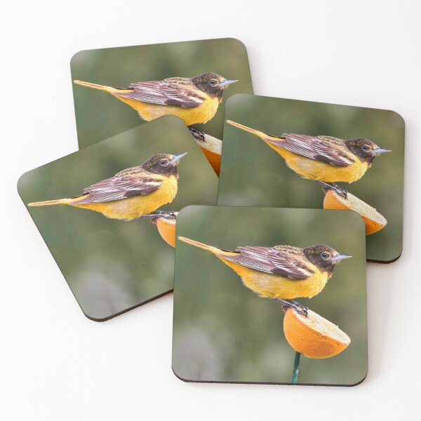 Item preview, Baltimore Oriole in May designed and sold by Victor Kilman.