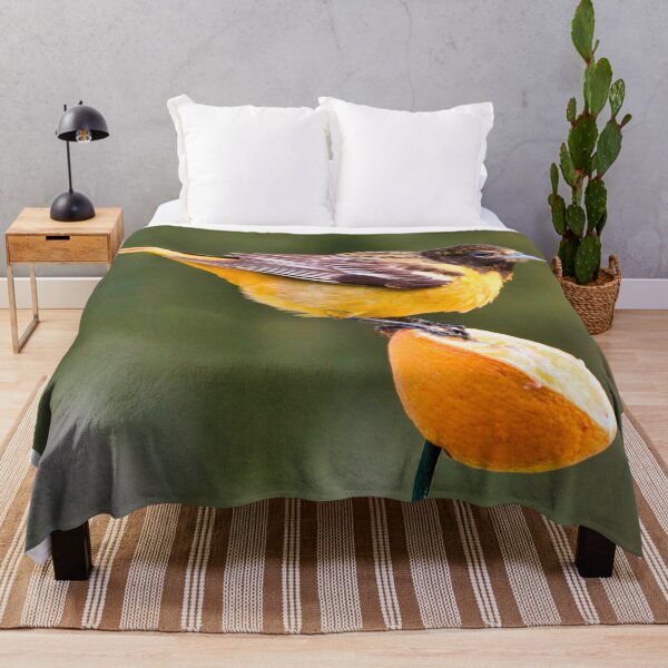 Item preview, Baltimore Oriole in May designed and sold by Victor Kilman.