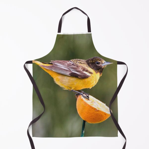 Item preview, Baltimore Oriole in May designed and sold by Victor Kilman.