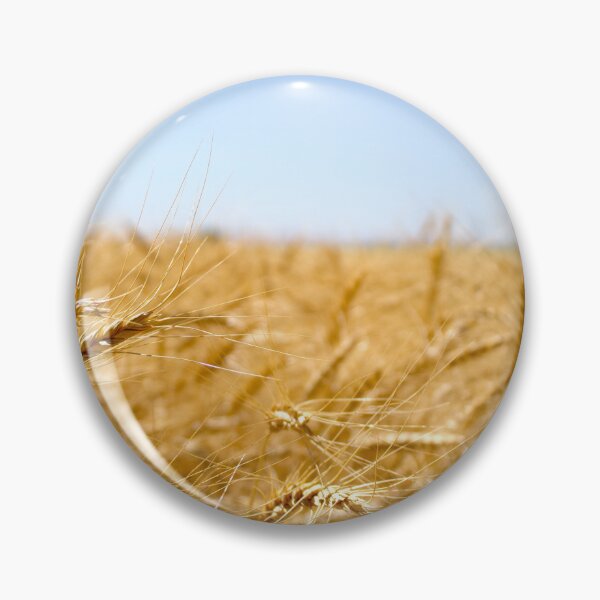 Item preview, Wheat Field And Blue Sky (closeup) designed and sold by Scott K Smith.