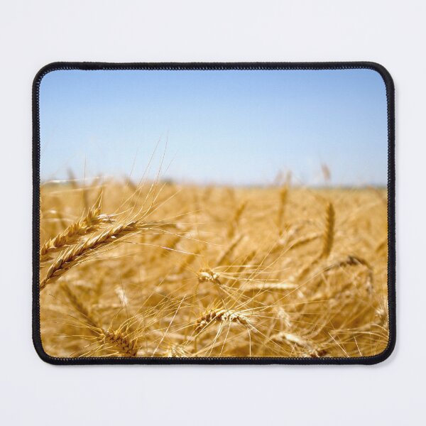 Item preview, Wheat Field And Blue Sky (closeup) designed and sold by Scott K Smith.