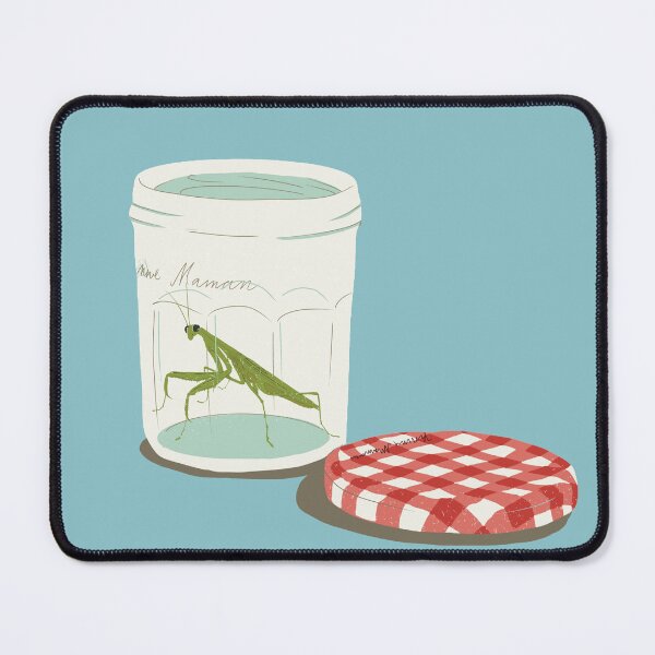 Item preview, Bug Collector Praying Mantis, Haley Heynderickx designed and sold by LocalHoneyArt.
