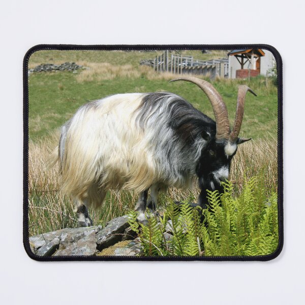 Item preview, goat designed and sold by KathleenDawson.