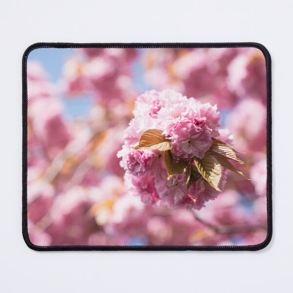 Item preview, Soft Pink Cloud of Cherry Blossoms designed and sold by Georgia Mizuleva.