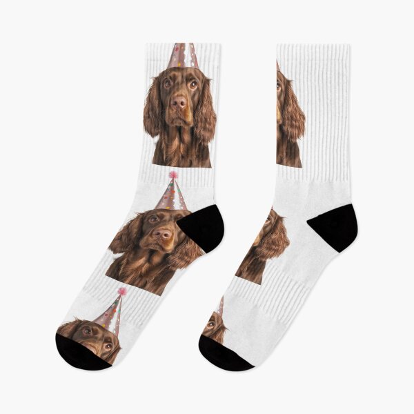Item preview, Cute Sussex Spaniel dog with Party Hat Birthday Celebration designed and sold by LazyOwlStore.