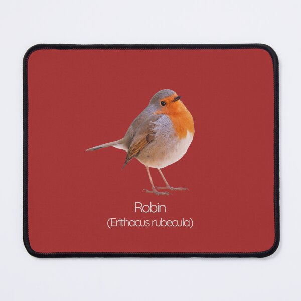 Item preview, Robin | The Iconic Songbird of British Gardens designed and sold by The Digital Compass.