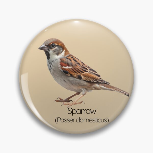 Item preview, House Sparrow | The Sociable Songbird of Urban Gardens designed and sold by The Digital Compass.
