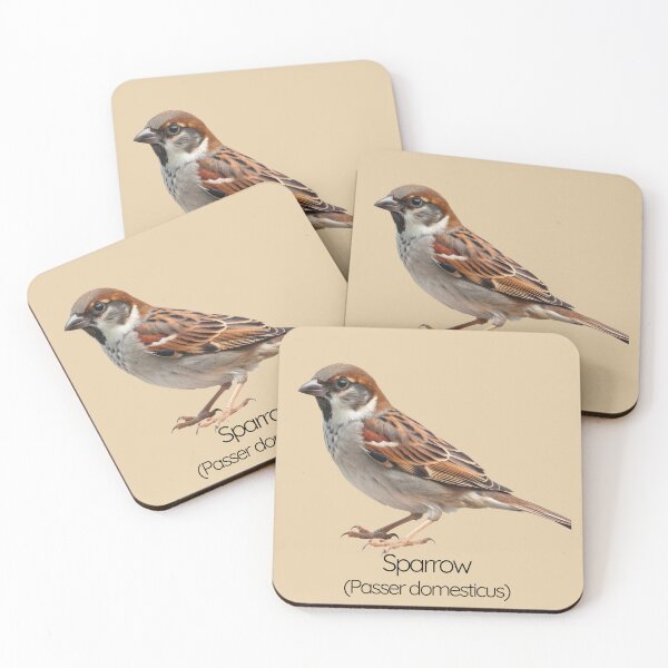 Item preview, House Sparrow | The Sociable Songbird of Urban Gardens designed and sold by The Digital Compass.