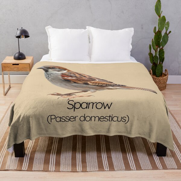 Item preview, House Sparrow | The Sociable Songbird of Urban Gardens designed and sold by The Digital Compass.