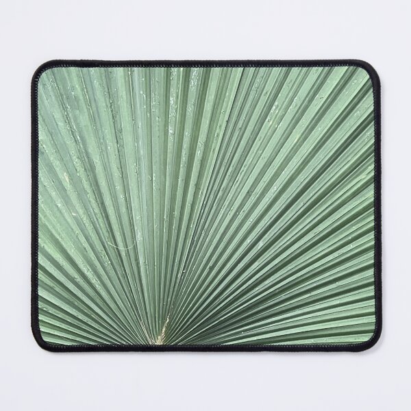 Item preview, freen fan palm from Miami Flordia designed and sold by tnlisa.