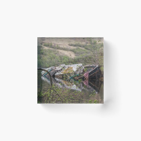 Item preview, Resting Beauty designed and sold by DCarlier.