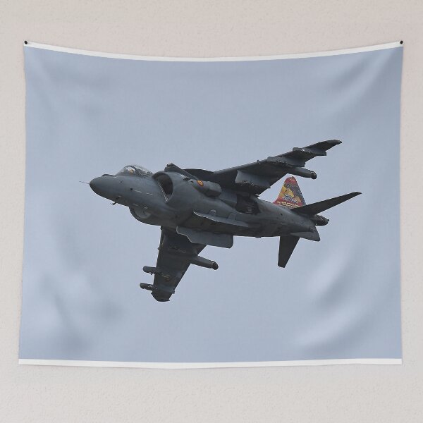Item preview, Harrier designed and sold by Skyframe Aviation.