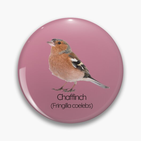 Item preview, Chaffinch | The Colorful Finch of British Gardens designed and sold by The Digital Compass.
