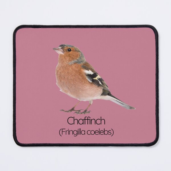 Item preview, Chaffinch | The Colorful Finch of British Gardens designed and sold by The Digital Compass.