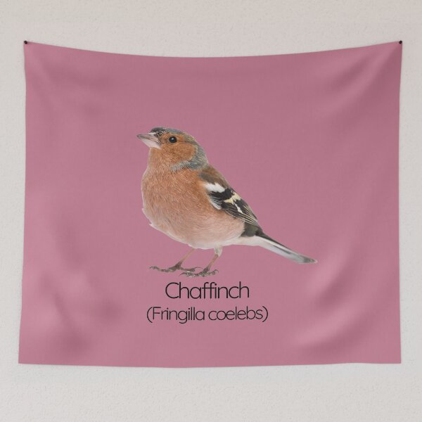 Item preview, Chaffinch | The Colorful Finch of British Gardens designed and sold by The Digital Compass.