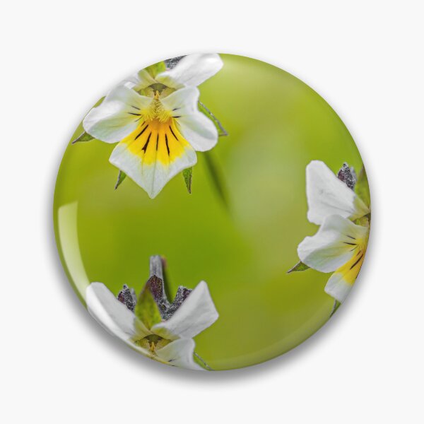 Item preview, Field pansy designed and sold by Veikko  Suikkanen.