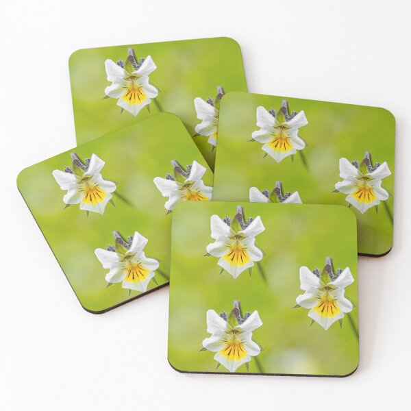 Item preview, Field pansy designed and sold by Veikko  Suikkanen.