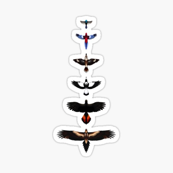 Item preview, Australian Birds - Illustrated designed and sold by tzessaff.