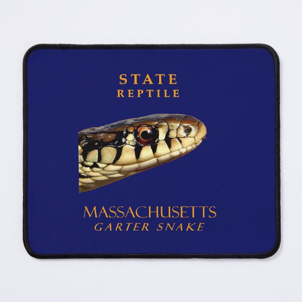Item preview, Massachusetts Territory Reptile The Garter Snake designed and sold by taiche.