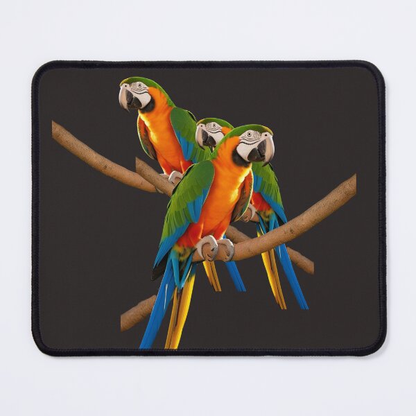Item preview, Parrot, cute parrots on a branch designed and sold by Hope-it-fits.