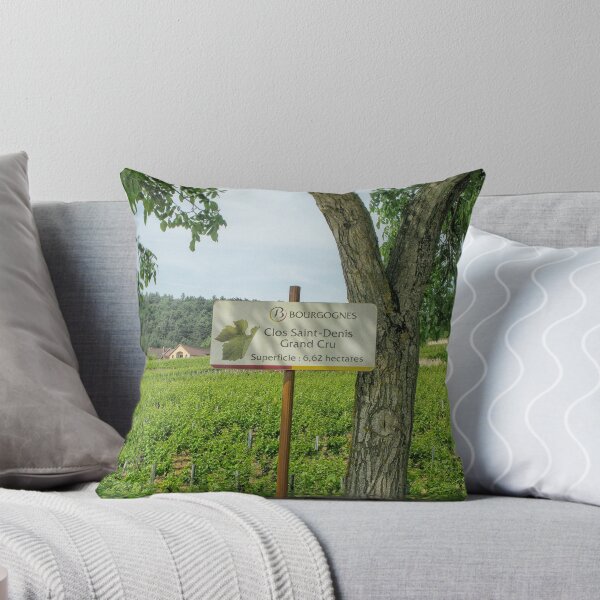 Aperçu de l'œuvre Célèbre vignoble grand cru en Bourgogne créée et vendue par Photopat.