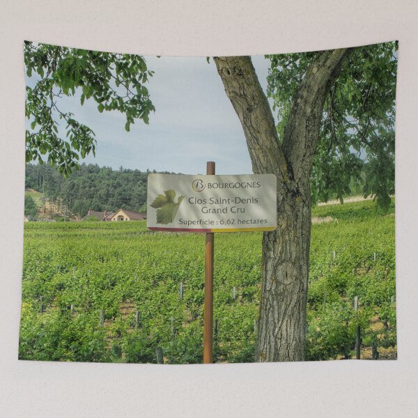 Item preview, Famous grand cru vineyard in Burgundy designed and sold by Photopat.