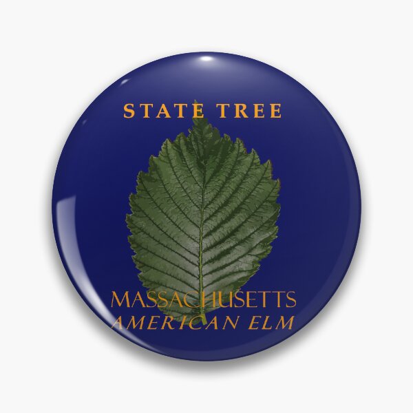Artikelvorschau, Baum des Territoriums Massachusetts: Die Amerikanische Ulme entworfen und verkauft von taiche.