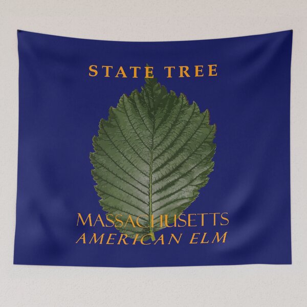 Item preview, Massachusetts Territory Tree The American Elm designed and sold by taiche.