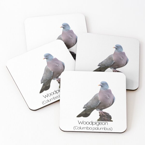 Item preview, Woodpigeon | The Gentle Giant of British Gardens designed and sold by The Digital Compass.