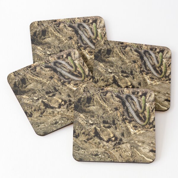 Item preview, cacti camouflaged in the mountain designed and sold by felipequeiroz.