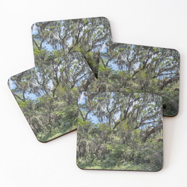 Item preview, Spanish Moss in the trees designed and sold by Craig Kauzmann.