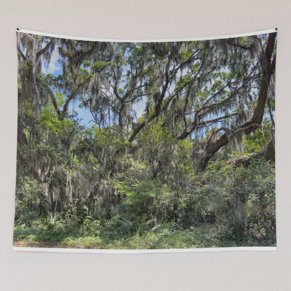 Item preview, Spanish Moss in the trees designed and sold by Craig Kauzmann.