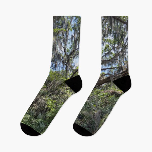 Item preview, Spanish Moss in the trees designed and sold by Craig Kauzmann.