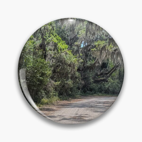 Item preview, Coastal Road with Spanish Moss designed and sold by Craig Kauzmann.