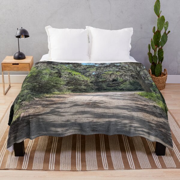 Item preview, Coastal Road with Spanish Moss designed and sold by Craig Kauzmann.