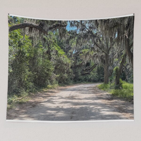 Item preview, Coastal Road with Spanish Moss designed and sold by Craig Kauzmann.
