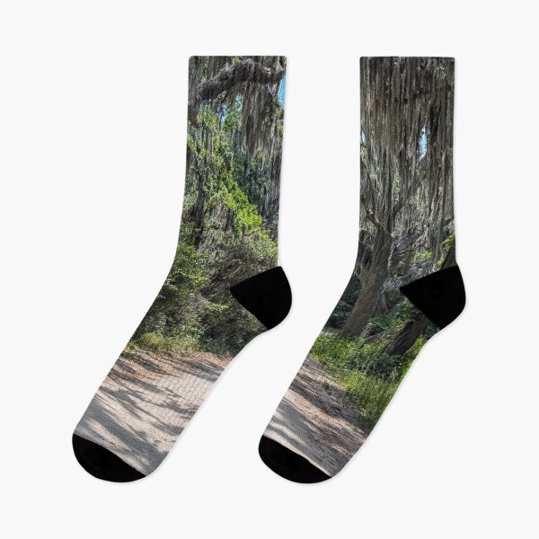 Item preview, Coastal Road with Spanish Moss designed and sold by Craig Kauzmann.