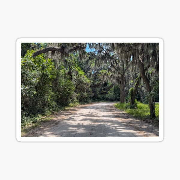 Item preview, Coastal Road with Spanish Moss designed and sold by Craig Kauzmann.