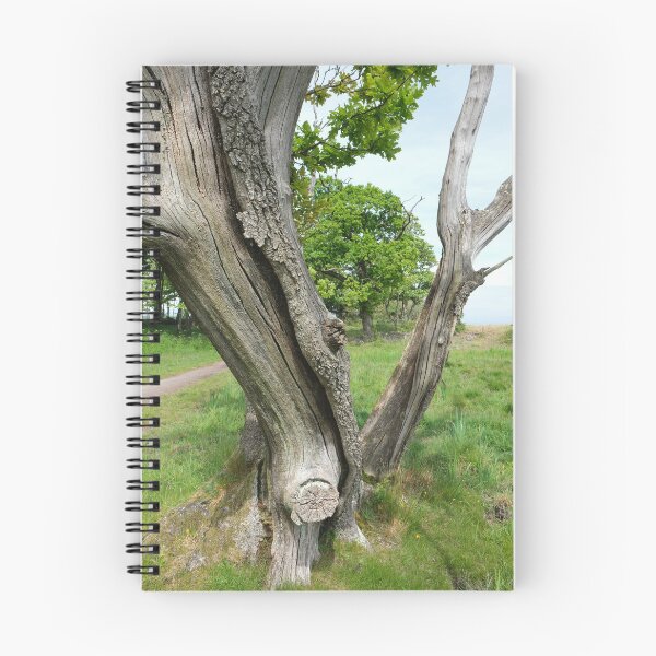 Item preview, Oak tree designed and sold by RedSteve.