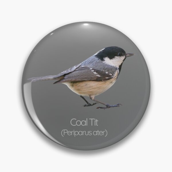 Item preview, Coal Tit | The Tiny Forager of British Woodlands designed and sold by The Digital Compass.