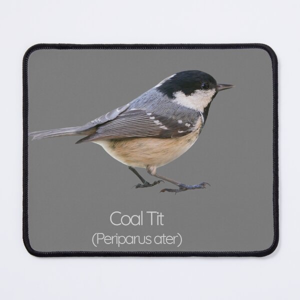 Item preview, Coal Tit | The Tiny Forager of British Woodlands designed and sold by The Digital Compass.
